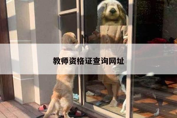 教师资格证查询网址