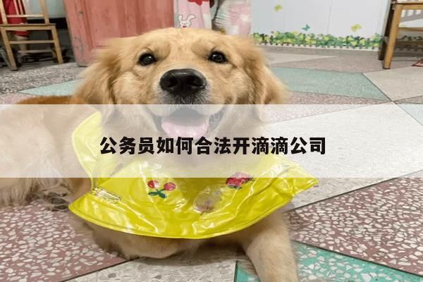 公务员如何合法开滴滴公司