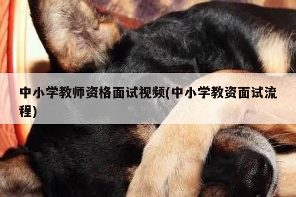中小学教师资格面试视频(中小学教资面试流程)