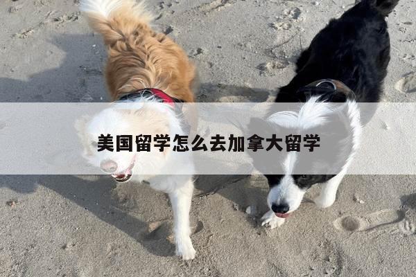 美国留学怎么去加拿大留学