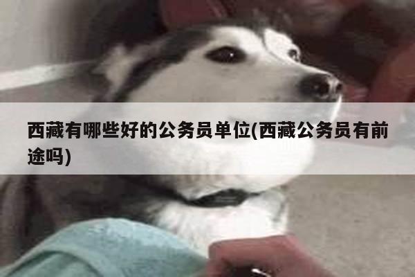 西藏有哪些好的公务员单位(西藏公务员有前途吗)