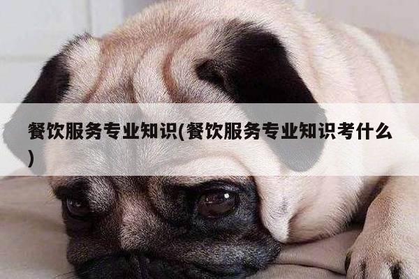 餐饮服务专业知识(餐饮服务专业知识考什么)