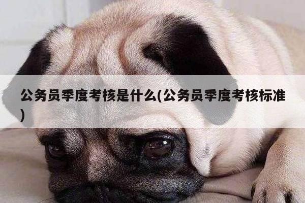 公务员季度考核是什么(公务员季度考核标准)