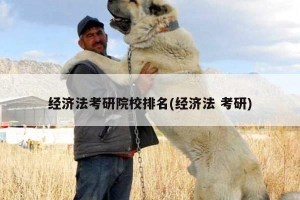 经济法考研院校排名(经济法 考研)