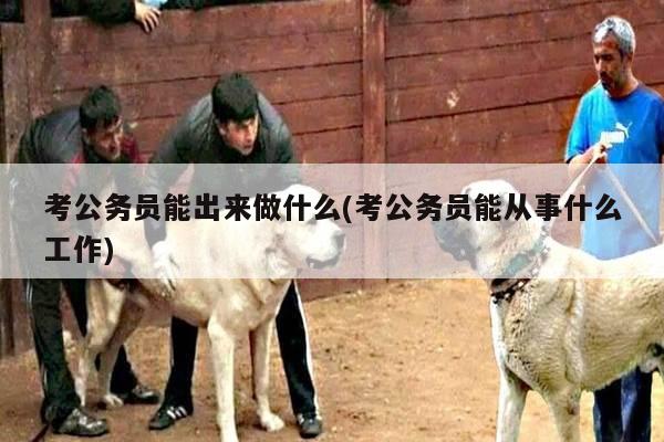 考公务员能出来做什么(考公务员能从事什么工作)