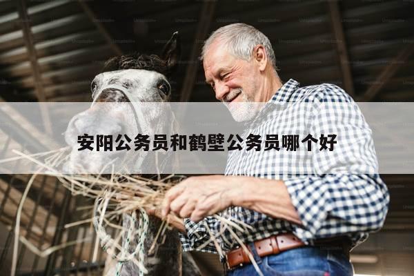 安阳公务员和鹤壁公务员哪个好