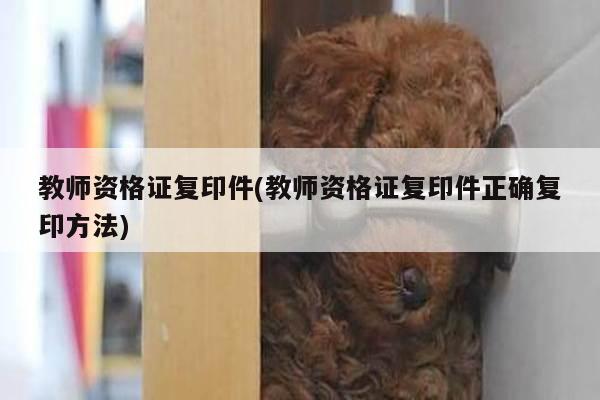 教师资格证复印件(教师资格证复印件正确复印方法)