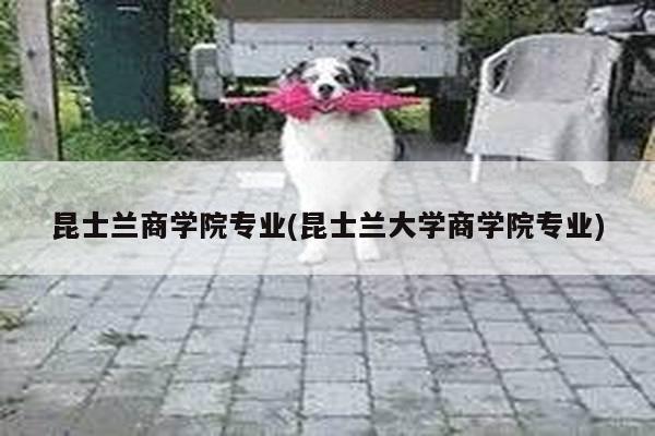 昆士兰商学院专业(昆士兰大学商学院专业)