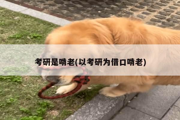 考研是啃老(以考研为借口啃老)