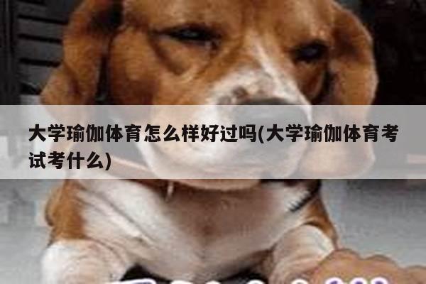 大学瑜伽体育怎么样好过吗(大学瑜伽体育考试考什么)