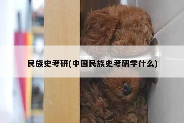 民族史考研(中国民族史考研学什么)