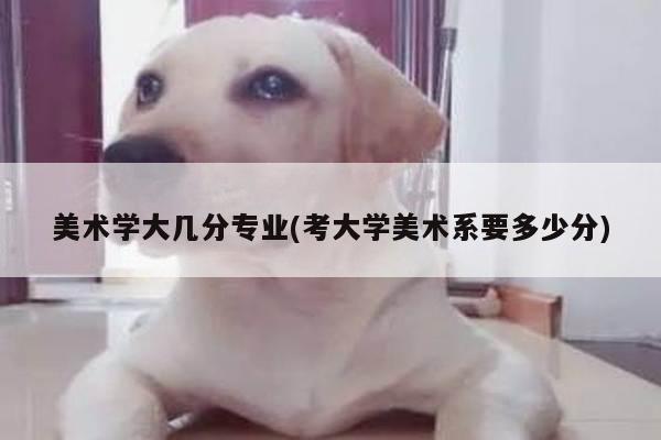 美术学大几分专业(考大学美术系要多少分)
