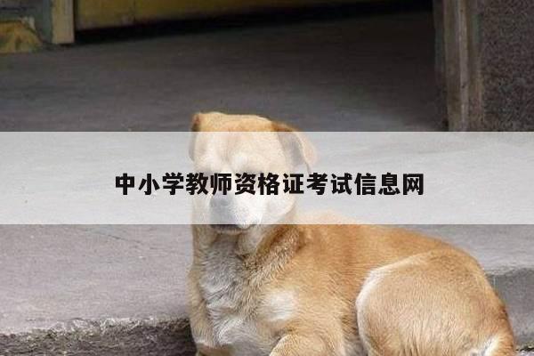 中小学教师资格证考试信息网