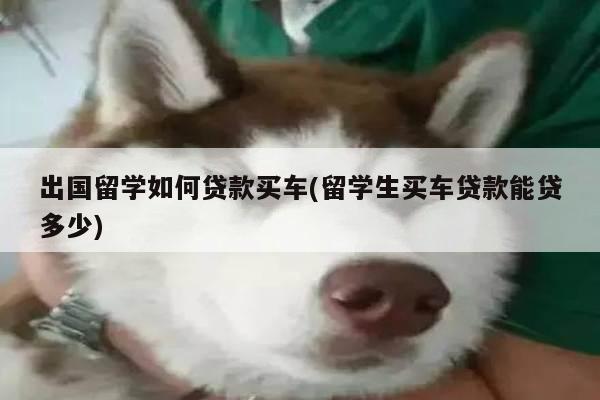 出国留学如何贷款买车(留学生买车贷款能贷多少)