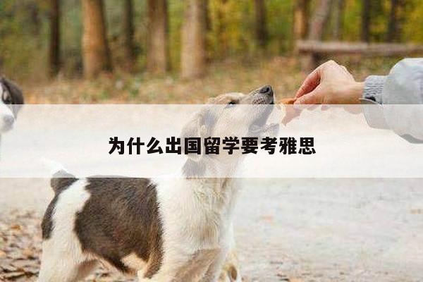 为什么出国留学要考雅思