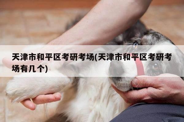 天津市和平区考研考场(天津市和平区考研考场有几个)