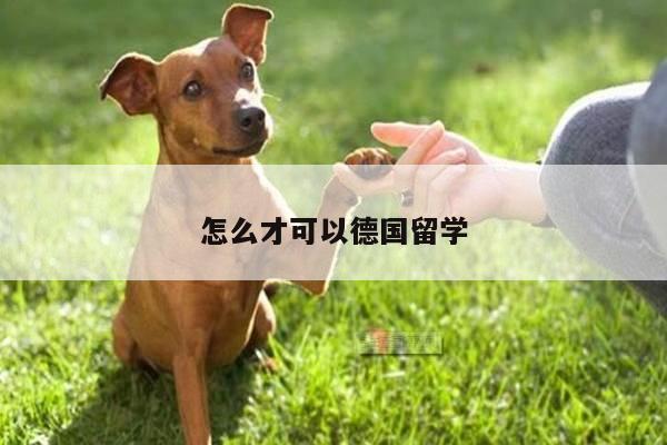 怎么才可以德国留学