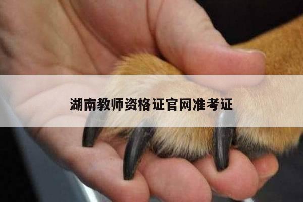 湖南教师资格证官网准考证