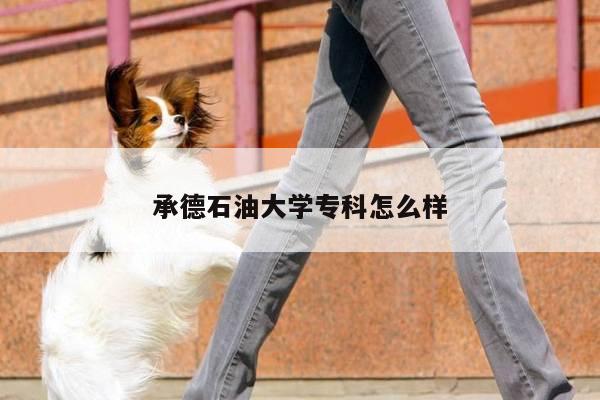 承德石油大学专科怎么样