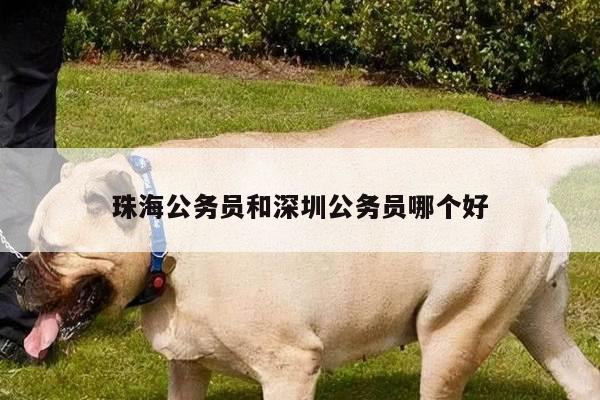 珠海公务员和深圳公务员哪个好