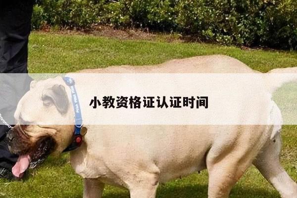 小教资格证认证时间