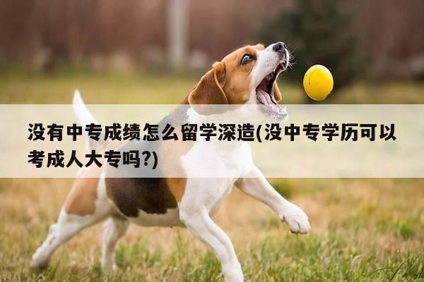 没有中专成绩怎么留学深造(没中专学历可以考成人大专吗?)