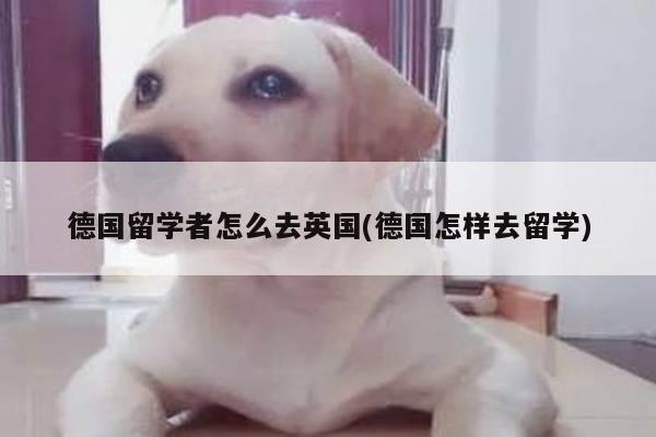 德国留学者怎么去英国(德国怎样去留学)