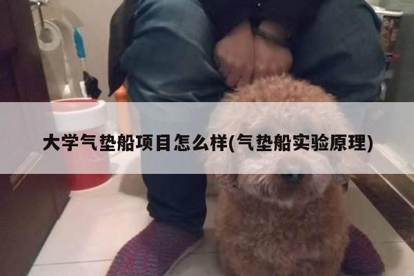 大学气垫船项目怎么样(气垫船实验原理)