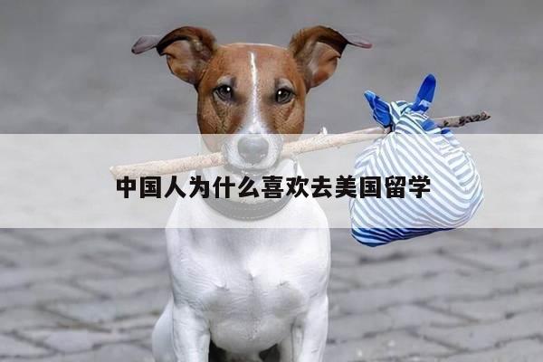 中国人为什么喜欢去美国留学