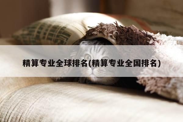 精算专业全球排名(精算专业全国排名)