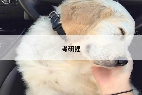 考研锂