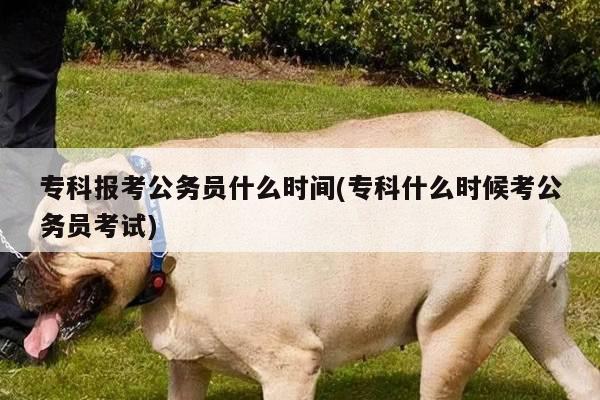 专科报考公务员什么时间(专科什么时候考公务员考试)