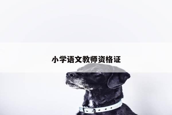 小学语文教师资格证