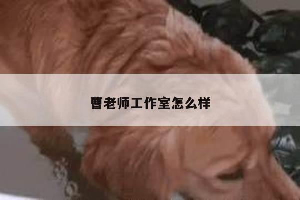 曹老师工作室怎么样