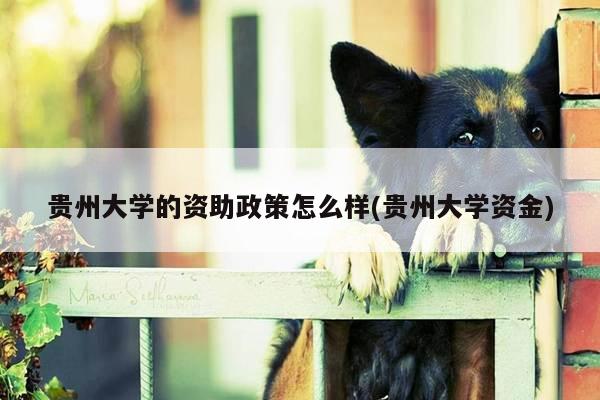 贵州大学的资助政策怎么样(贵州大学资金)