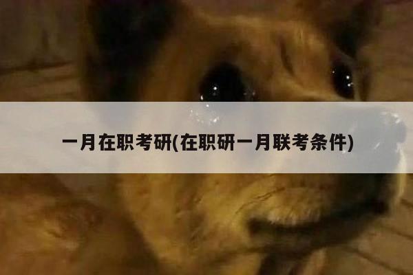 一月在职考研(在职研一月联考条件)