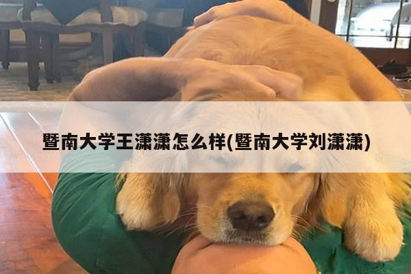暨南大学王潇潇怎么样(暨南大学刘潇潇)