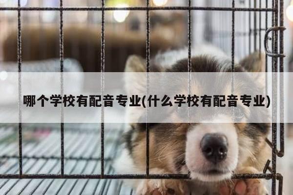 哪个学校有配音专业(什么学校有配音专业)