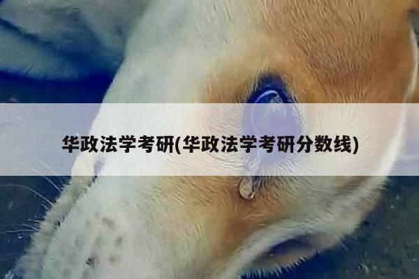 华政法学考研(华政法学考研分数线)