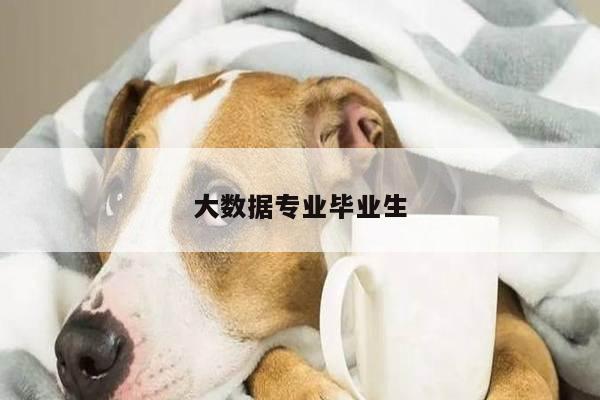 大数据专业毕业生