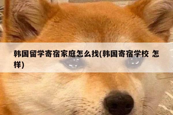 韩国留学寄宿家庭怎么找(韩国寄宿学校 怎样)
