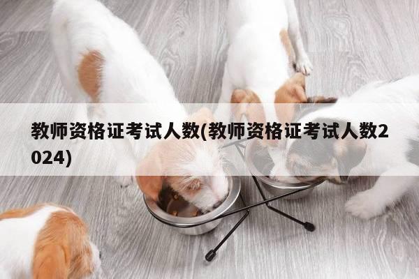 教师资格证考试人数(教师资格证考试人数2024)
