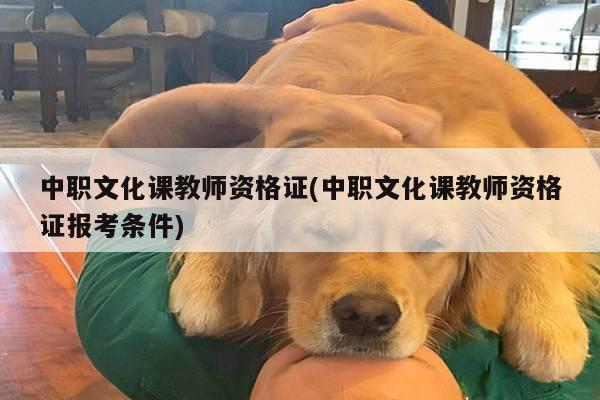 中职文化课教师资格证(中职文化课教师资格证报考条件)