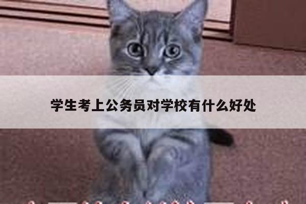 学生考上公务员对学校有什么好处