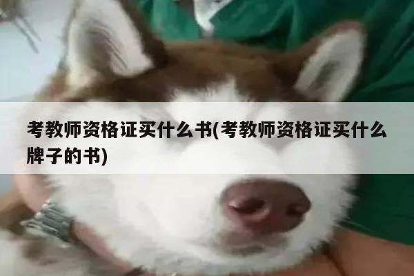 考教师资格证买什么书(考教师资格证买什么牌子的书)