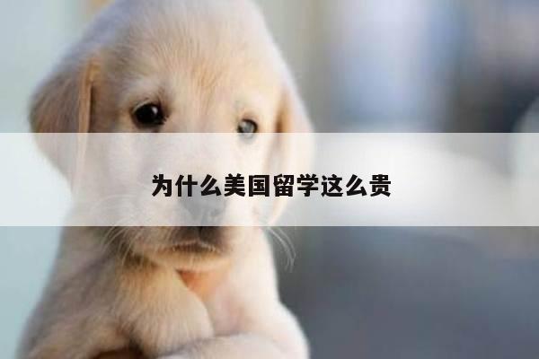 为什么美国留学这么贵