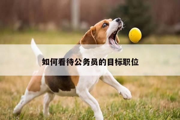 如何看待公务员的目标职位