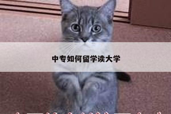 中专如何留学读大学