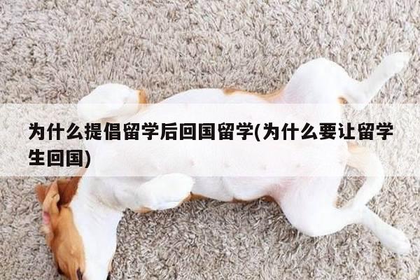 为什么提倡留学后回国留学(为什么要让留学生回国)