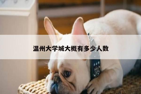 温州大学城大概有多少人数